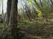 50 Salendo per sentiero non segnato e non frequentato (solo qui bollato!)  in Canto Alto